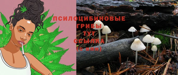 прущая мука Балахна
