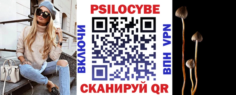 Галлюциногенные грибы мухоморы  купить наркотик  Черняховск 